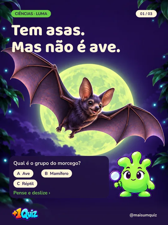 Tem asas. Mas não é ave