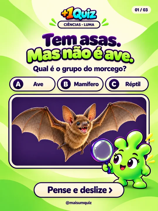 Tem asas. Mas não é ave