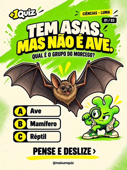 Tem asas. Mas não é ave