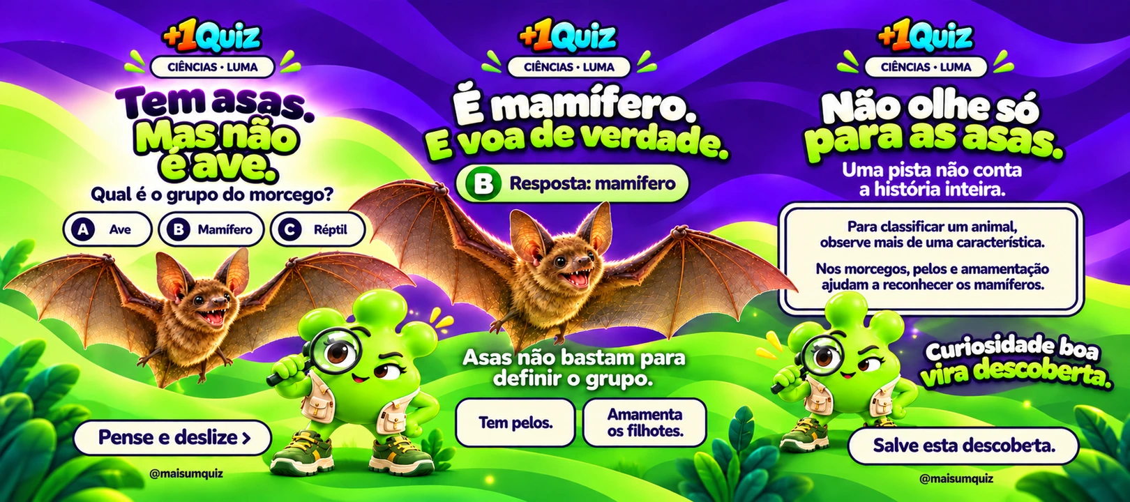 Carrossel completo: Tem asas. Mas não é ave, com fundo contínuo entre as três imagens.